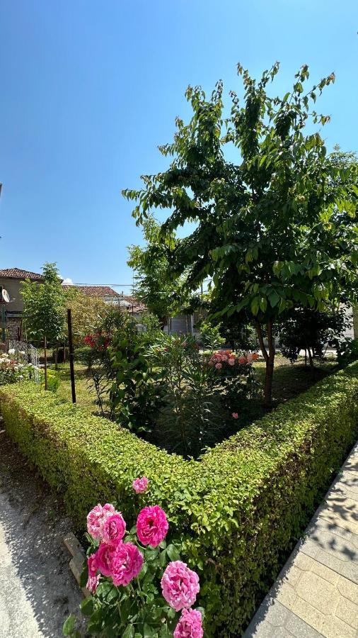 Js House 2 Shkoder